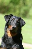 BEAUCERON 843